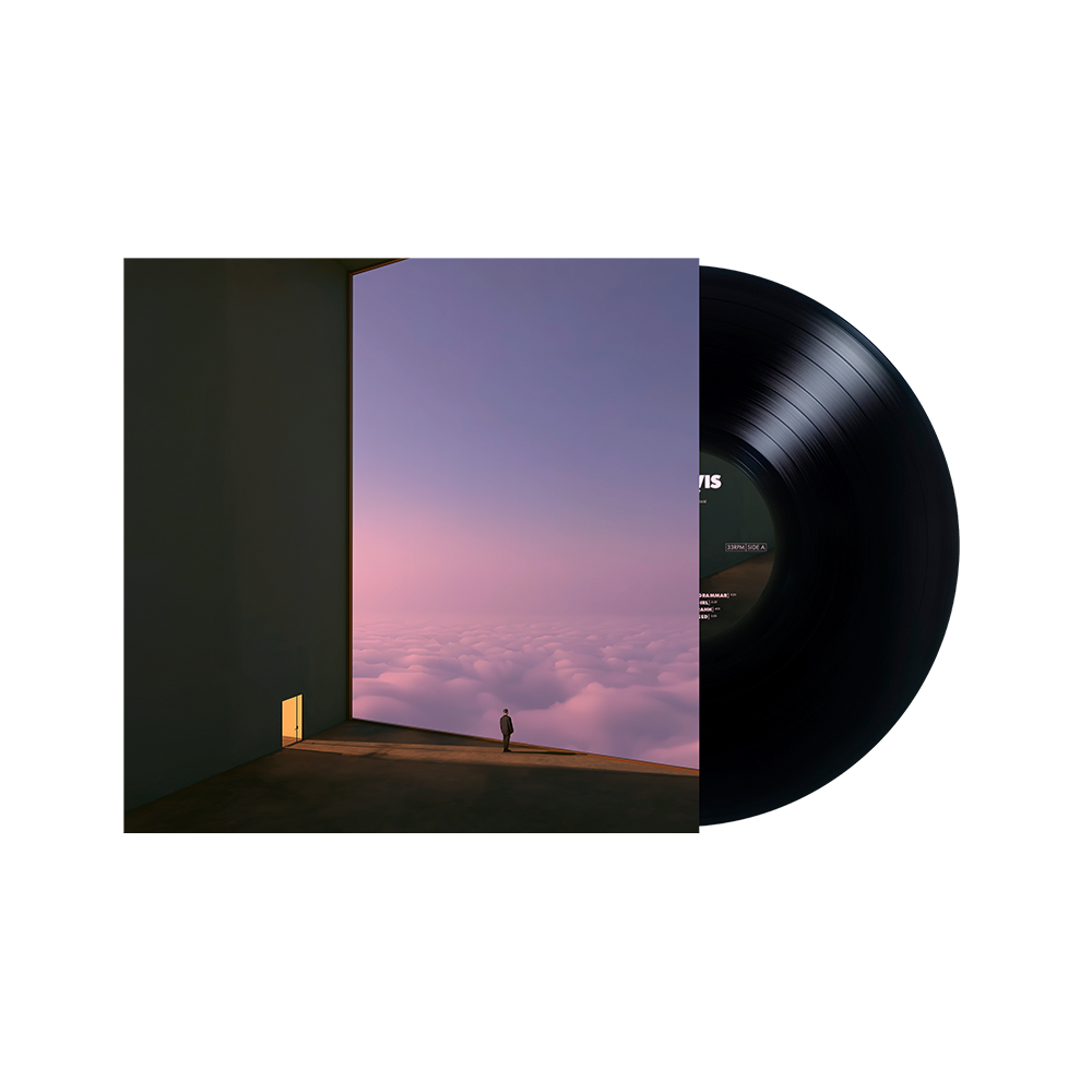 Anemoia Black Vinyl