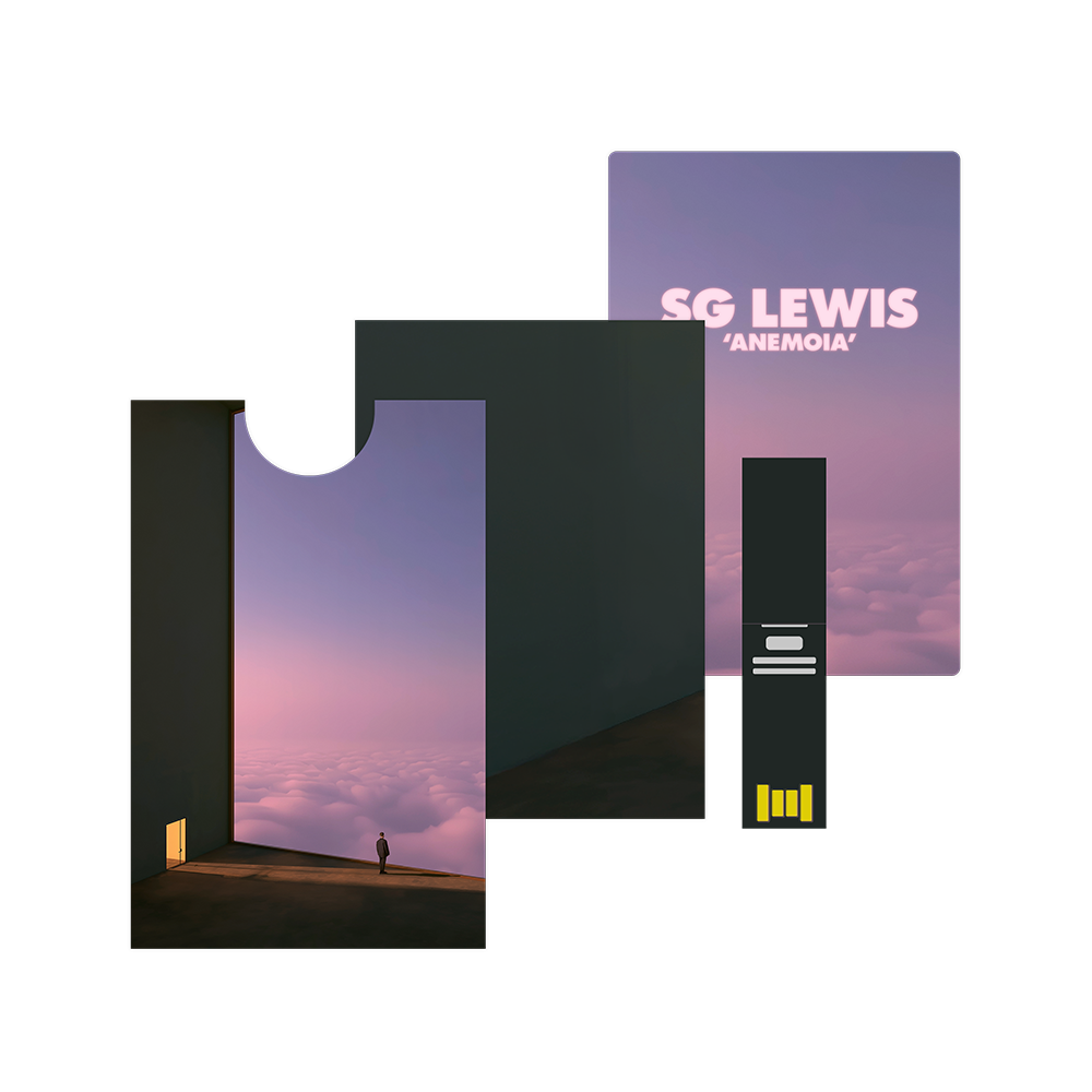 Anemoia Credit Card USB